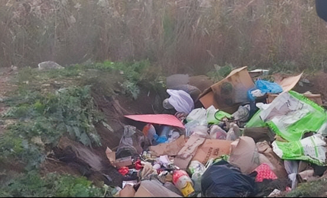 Odlu silah saxlayanlar və ətrafı çirkləndirənlər cəzalandırıldı - FOTOLAR